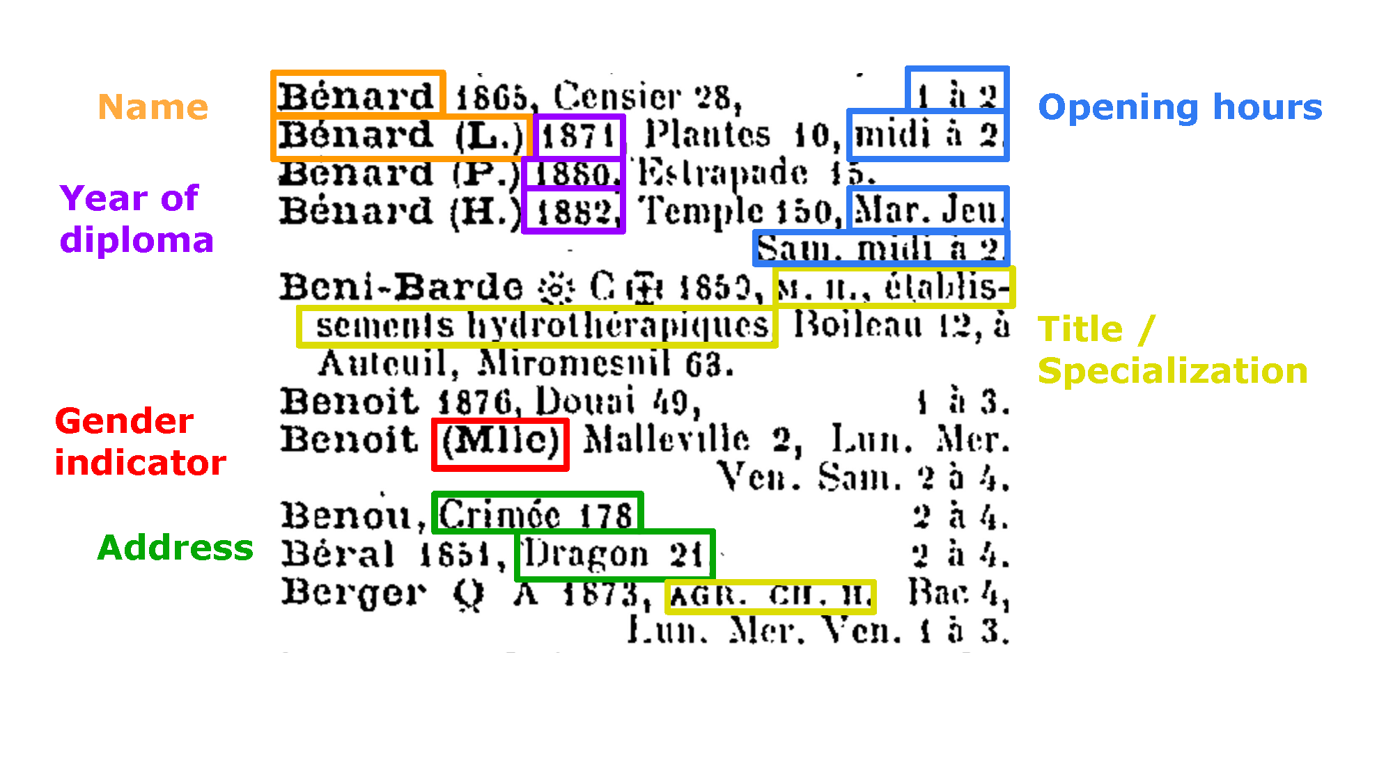 Annotated close-up of a Rosenwald Guide entry showing Name, Year of diploma, Gender indicator, Address, Opening hours, and Title/Specialization fields